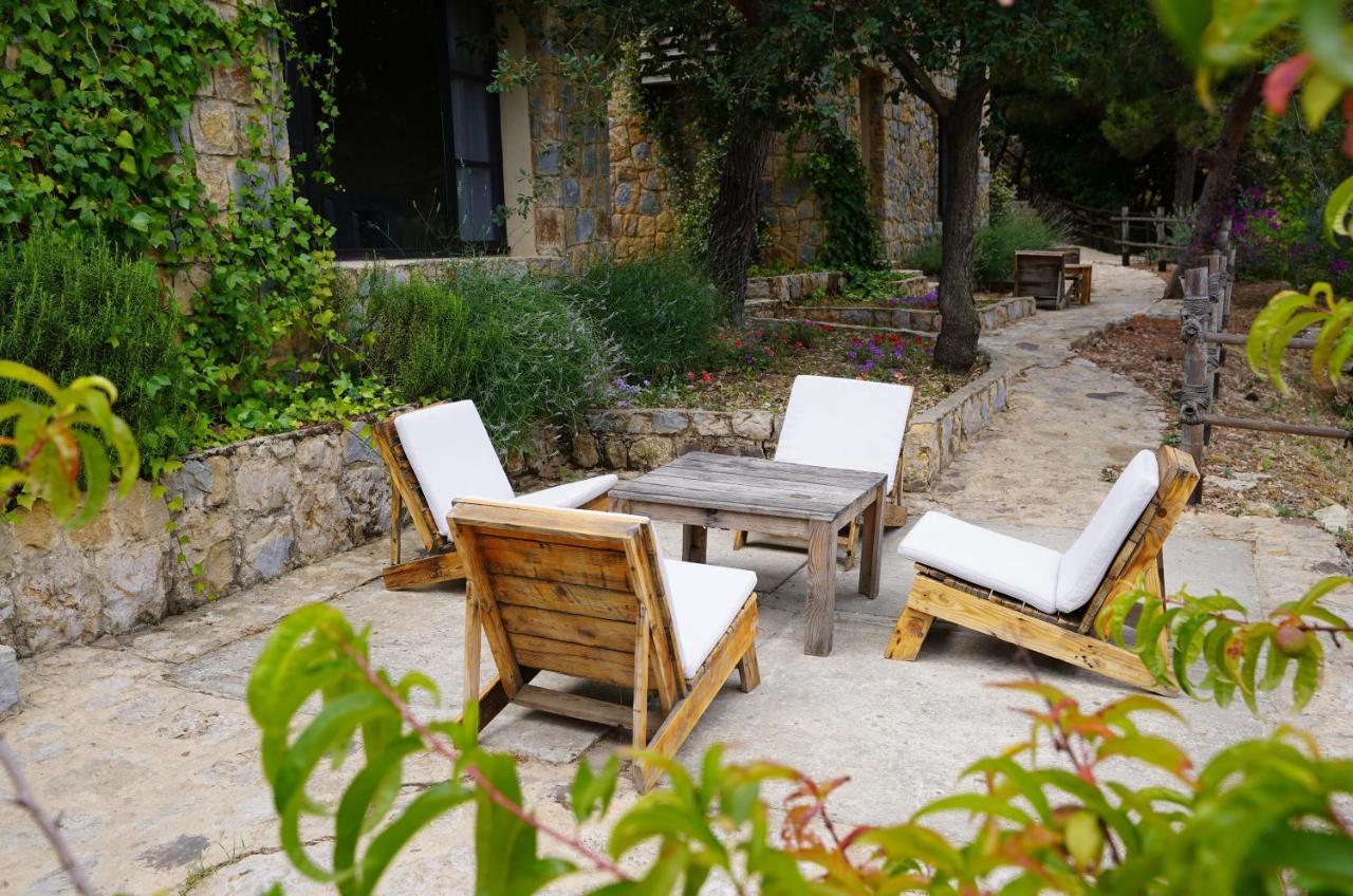 Blue Jay Valley Jezzine Exterior photo